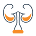 urologia urologia